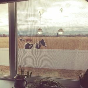 Meet your Posher, Carrie